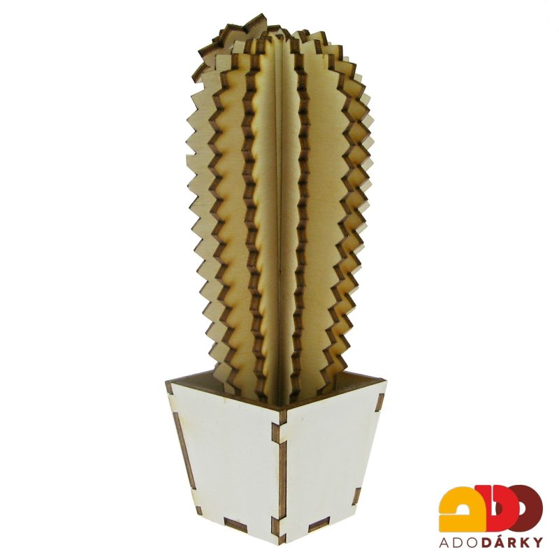 Dřevěný kaktus "Pro Tebe" úzký 16 cm