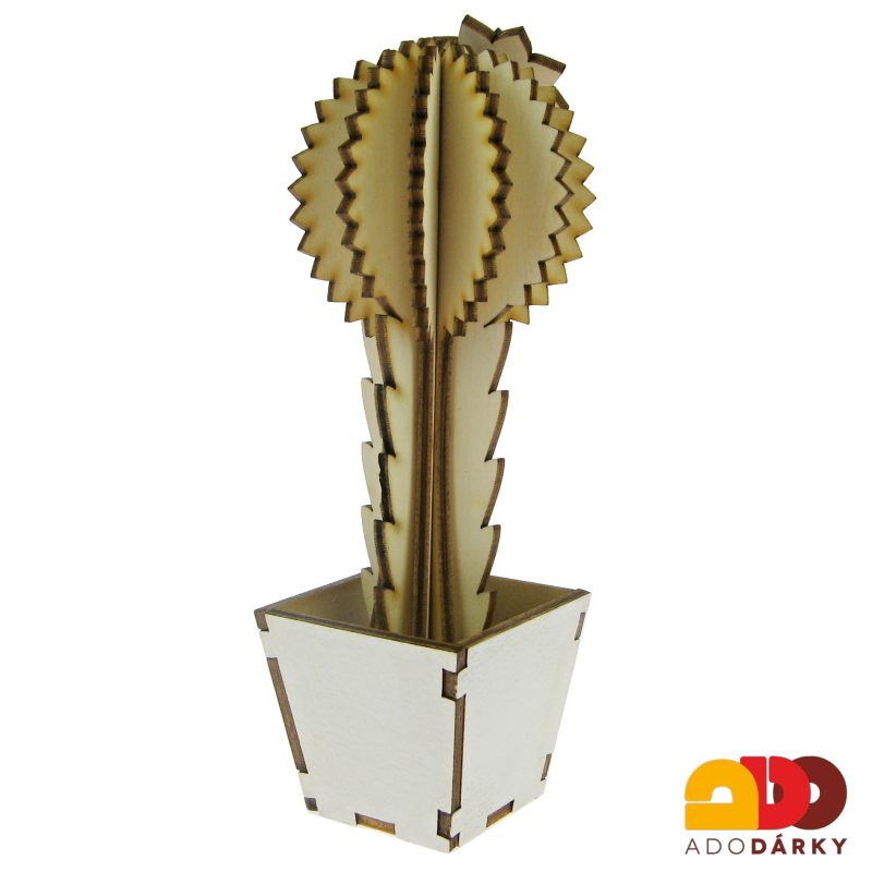 Dřevěný kaktus "Pro Tebe" vysoký 16 cm