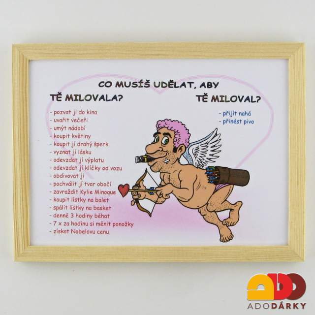 Obrázek Co musíš udělat aby... 22 x 17 cm
