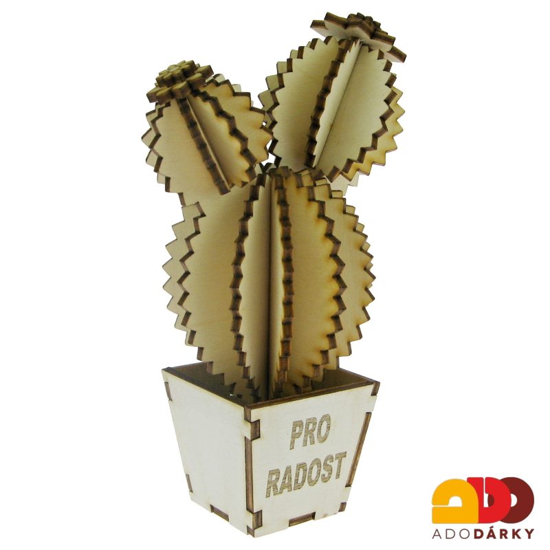 Dřevěný kaktus "Pro radost" 16 cm