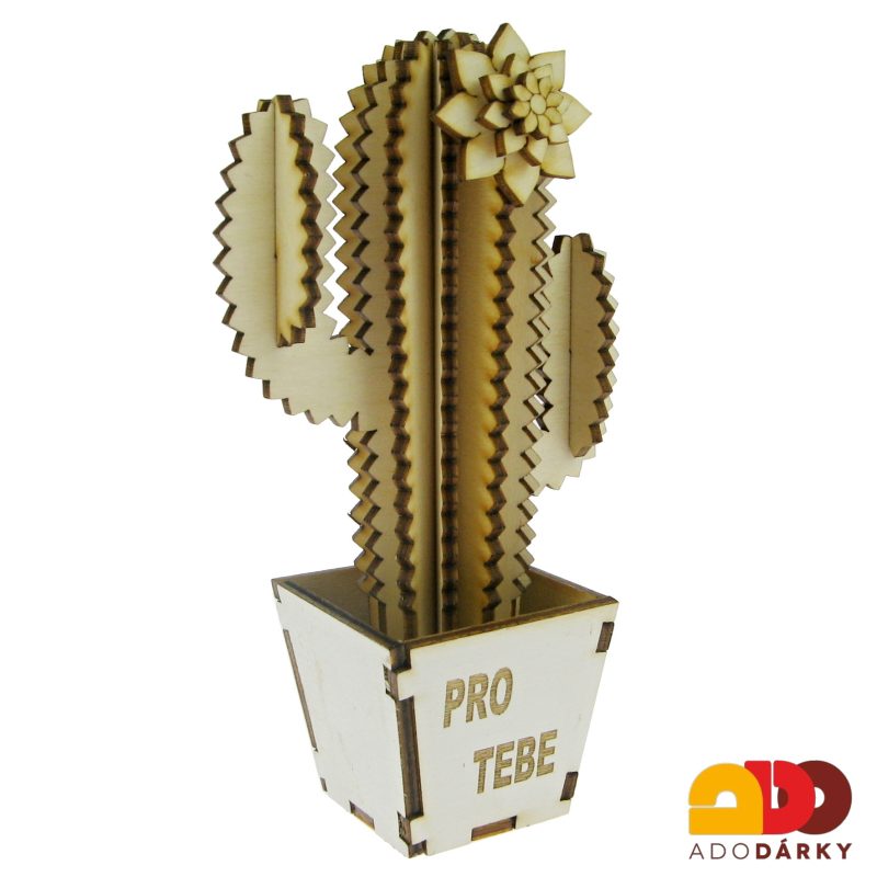 Dřevěný kaktus "Pro Tebe" široký 16 cm