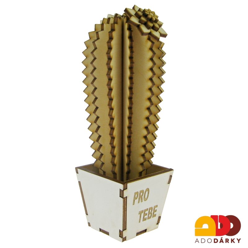 Dřevěný kaktus "Pro Tebe" úzký 16 cm