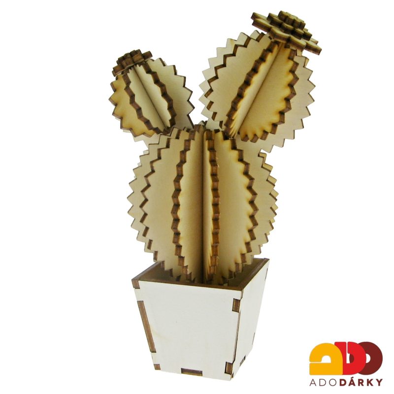 Dřevěný kaktus "Pro radost" 16 cm