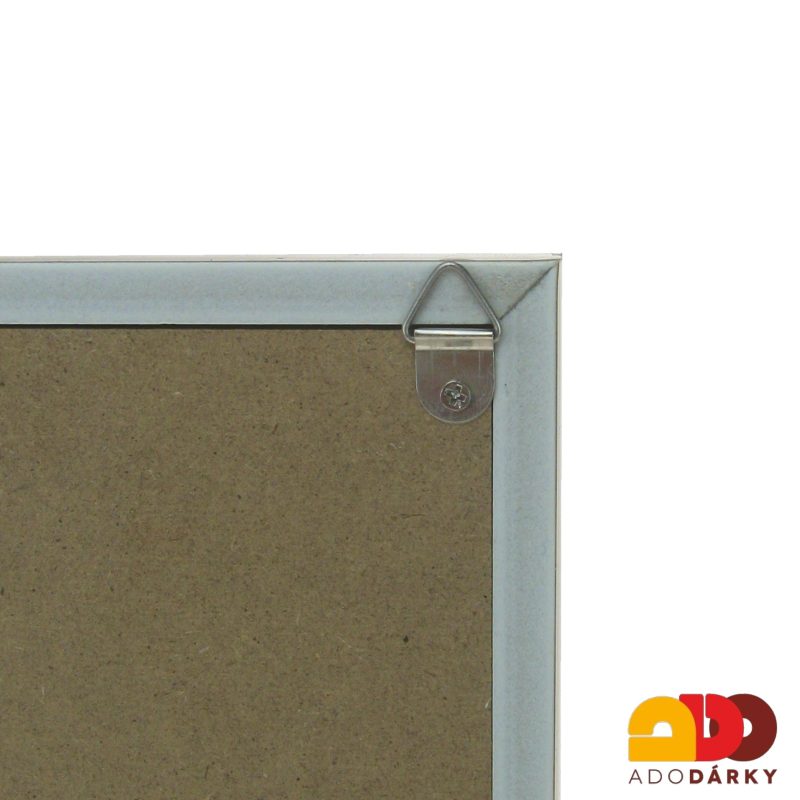 Obraz s věšáčky na klíče s pivoňkami a nápisem "Domov" 29,5 x 19,5 cm